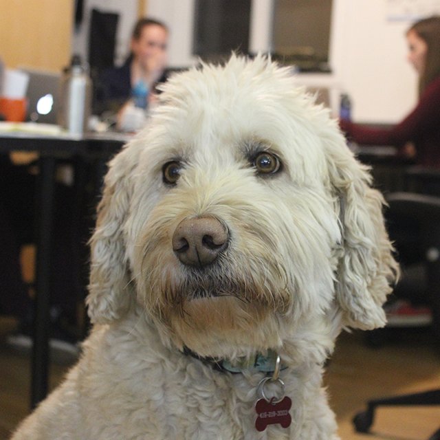 TutorBright tweet media