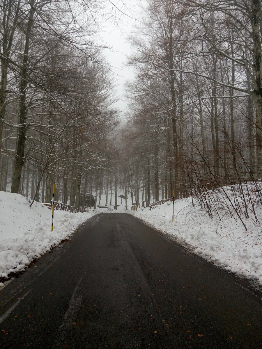 Amiatavideo's tweet photo. Strada nei pressi della #madonna del #Camicione  #amiata #amiatavideo https://t.co/vuTiXgB2Jr