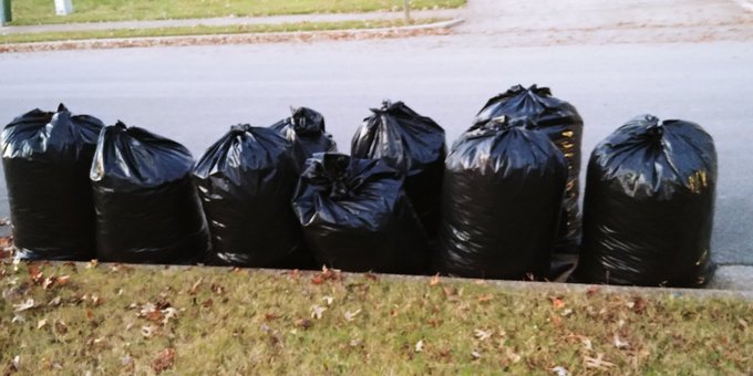I do not have one single fucking tree in my front yard, and I just killed myself all day because other<a href="/tag/dicks"class="tags"><span>#dicks</span></a>