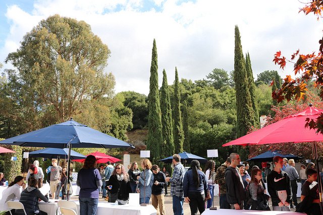 stmarysca's tweet photo. Who attended Fall Preview Day last Saturday? We hope you had a good time—we know our Admissions staff and Student Ambassadors did! #omgsmc https://t.co/cM9FFA93ns