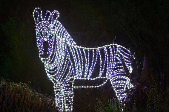 azfamily's tweet photo. ZooLights returns to light up the holiday season at the Phoenix Zoo. See what's new this year! @PhoenixZoo https://t.co/WnkOWf7BAy https://t.co/K7UlIBSHJ3