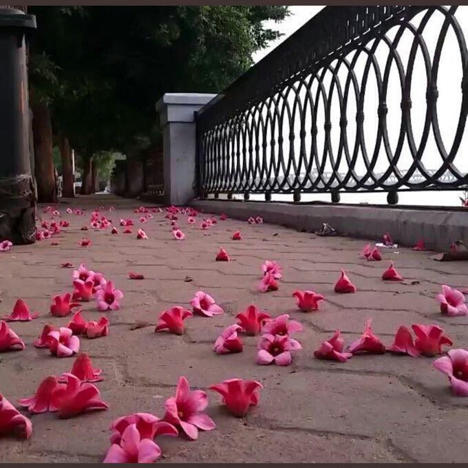 DOoTXhBWsAAofL1.jpg:large