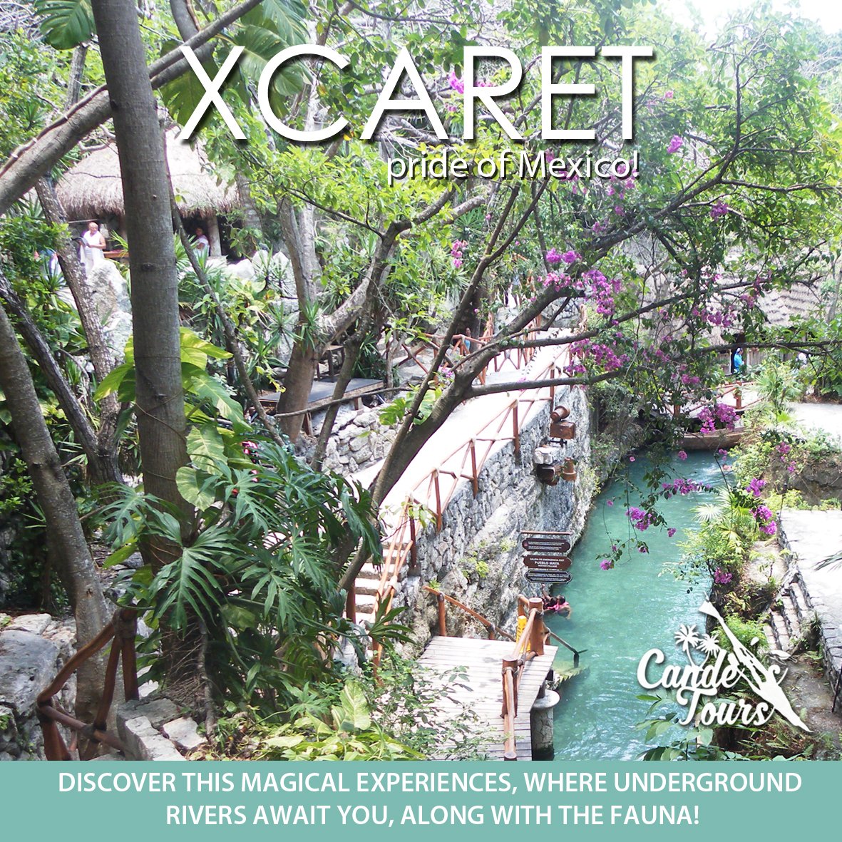 CandesTours's tweet photo. Come and enjoy this beautiful adventure!
Book here!
📲Book now!
Móvil: + 9981 016789
Oficina:+ 998 2740228
#CandesTours #Tour #Xcaret #RivieraMaya #Mexico #Vacations https://t.co/AxKa0jUbgD