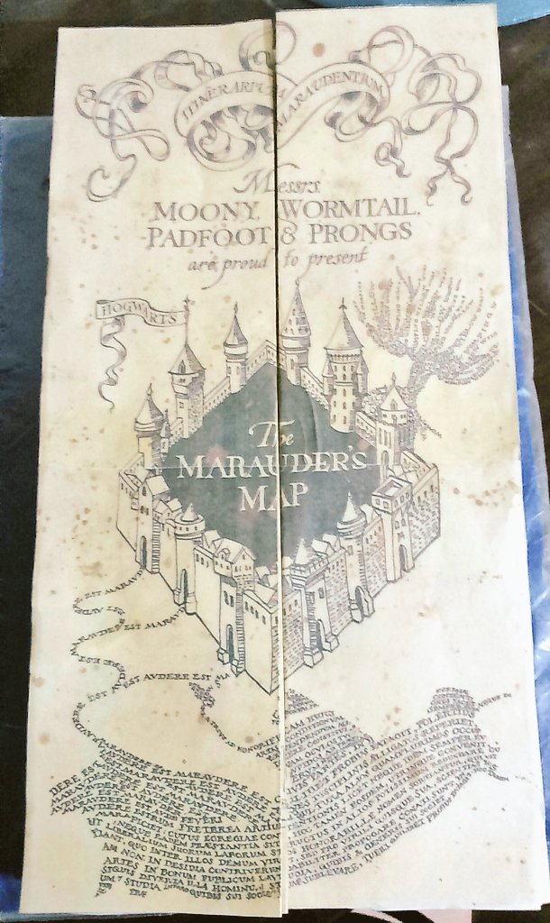 Tengo mi mapa, es hermoso :v