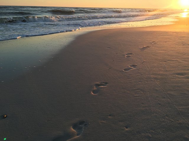 Visit Alabama Beaches tweet media