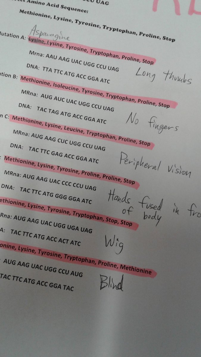 BioPhoLife's tweet photo. DNA and mutations https://t.co/zpRFtTiQ1g