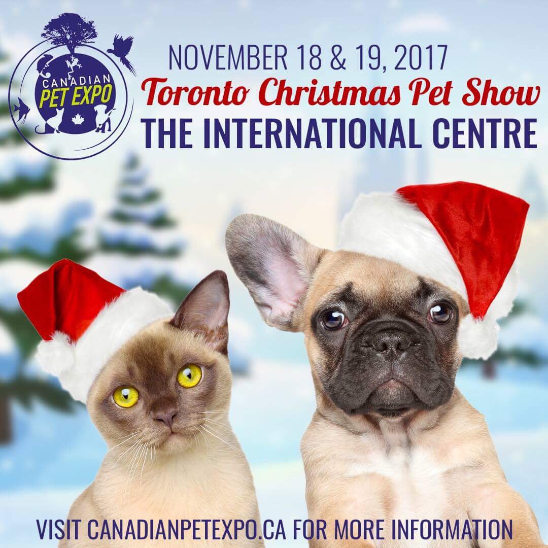 This weekend 🙌🙌 Don’t miss it especially if you want to see us 😍😍 Get your tickets <a href="/CanadaPetExpo/">Canadian Pet Expo</a>