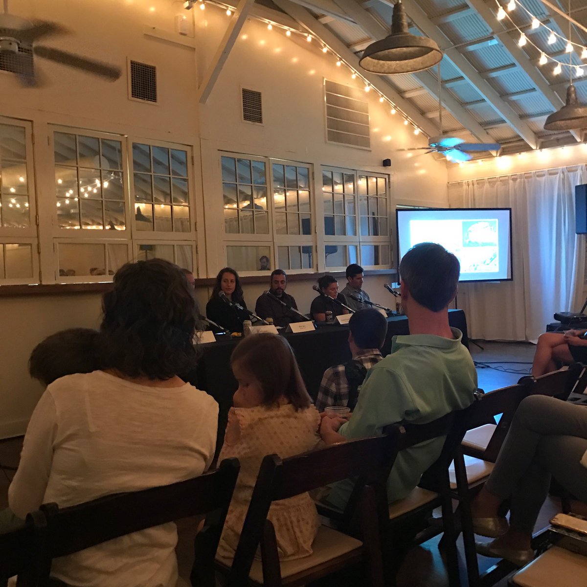 Peter D Mullan tweet media