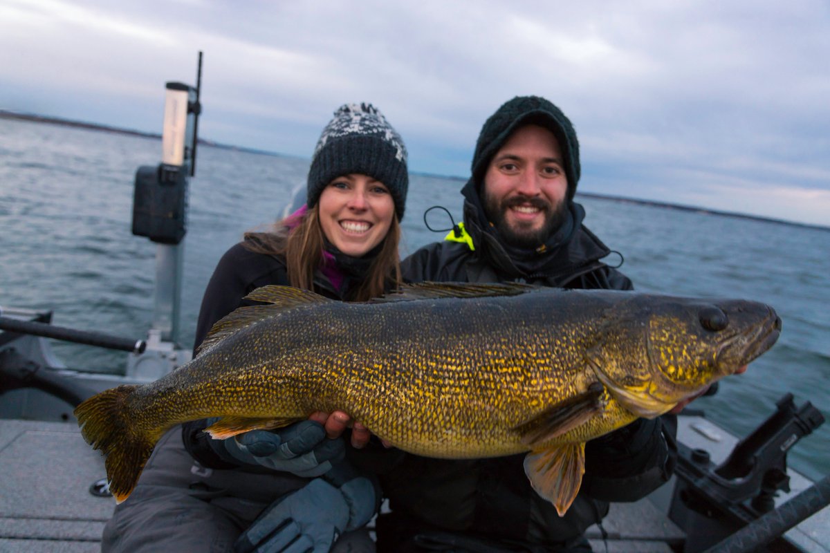 SheLovesToFish's tweet photo. A few beasts have hit the net recently but this one is the biggest of the season thus far, AND it's Eric's new personal best walleye at 13 pounds! My heart skips a beat in the presence of a fish of this calibre, such a magnificent creature. Thank you @DNotarianni for the photo! https://t.co/6tqu82NE4n