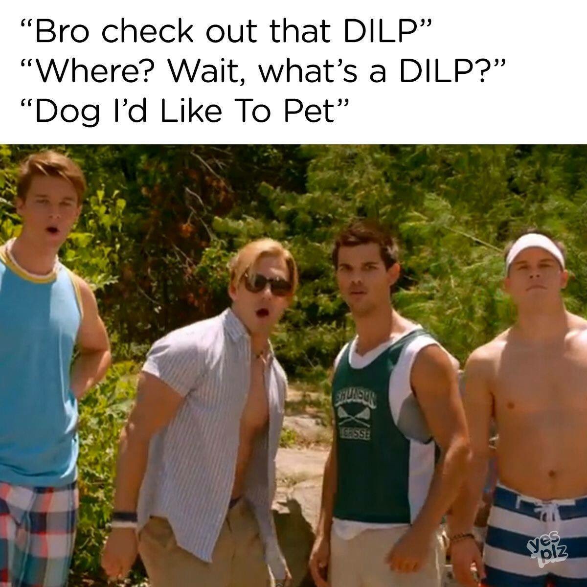 BARKNBROCK's tweet photo. 😂🐶✨ #barknbrock #bro #dilp #woofwoof #funny #pawsome #silly #coolbeans https://t.co/85VZKVuO3A
