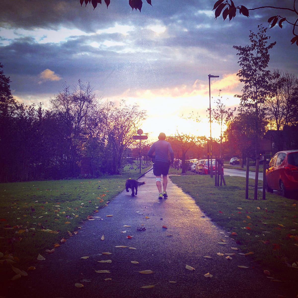 BozzieH's tweet photo. I took in 11 @BhamCityCouncil parks in #SouthBrum for run 88 of #BozRun2017 including @CotteridgePark @kingsheathpark @BournvillePark #RowheathPark @StirchleyPark #MunzPark #MicroPark (Pershore Rd) #SellyOakPark with @hamlettcae running for @CAESSR_Stoke https://t.co/fZB1Kbw3fq https://t.co/iJHsOrVeU5