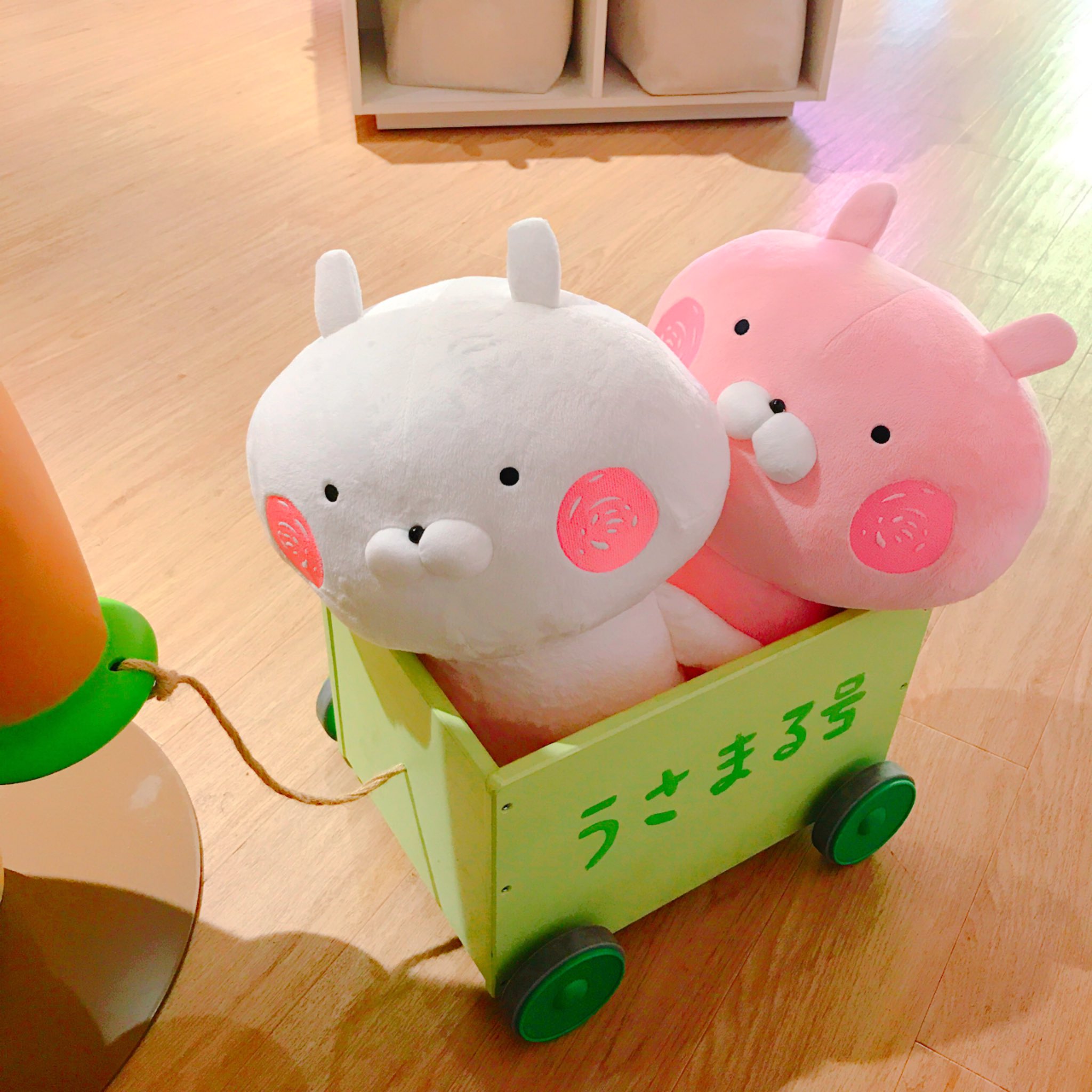 LINE FRIENDS STORE福岡 على X: LINE FRIENDS STORE福岡 على X: