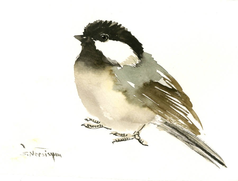 Chickadee art, bird artwork gift watercolor painting 7 x 5 in smal… tuppu.net/df0683ed #MyNewTag #ChickadeeBird