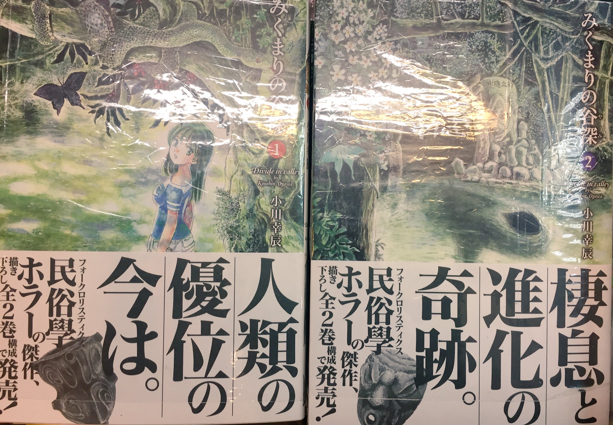 ヴィレッジヴァンガード下北沢 11 15コミック新刊 エンブリヲ の小川幸辰 先生新作 みくまりの谷深 1 2巻同時発売です エンブリヲの精神的続編とも言われる本作 東京と空港を結ぶ 万葉ニュータウン 暗い森に包まれた街で連続失踪事件が 民俗学