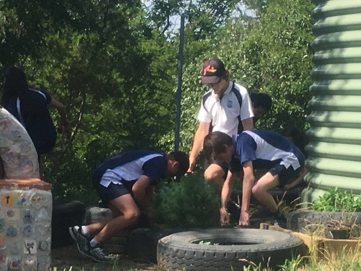 YassHighSchool's tweet image. Our @SAKGF Kitchen Garden is harvesting a bounty for our Year 8 Food Technology class. Now we are planning a dish to prepare for our #sharedTable. @YassHighTech @NSWEducation @yhsag1