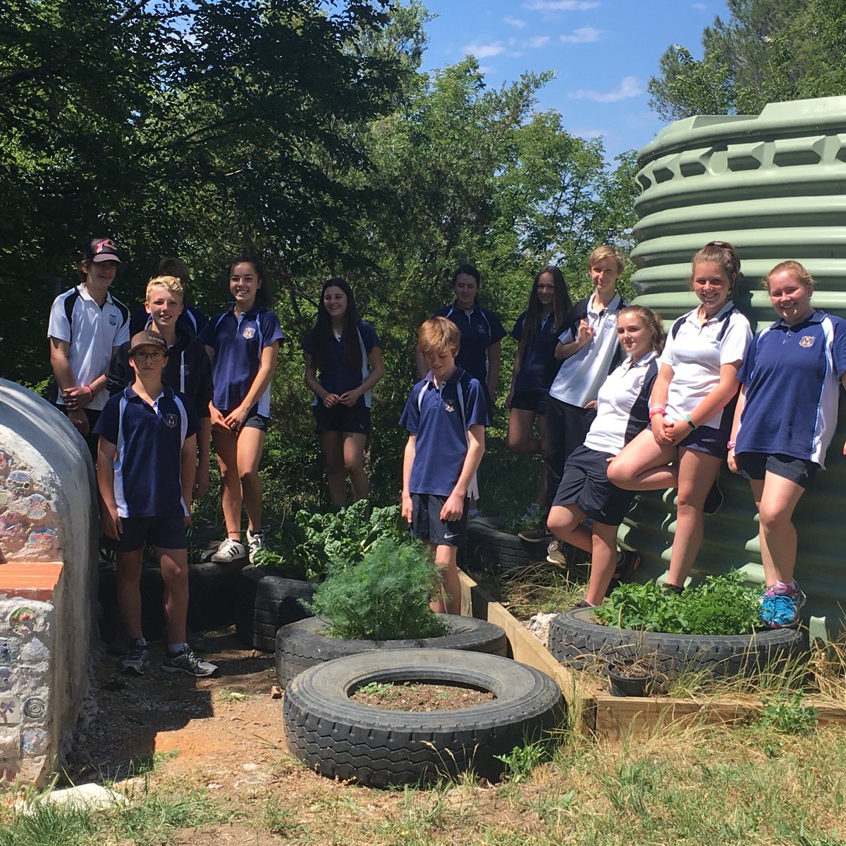 YassHighSchool's tweet image. Our @SAKGF Kitchen Garden is harvesting a bounty for our Year 8 Food Technology class. Now we are planning a dish to prepare for our #sharedTable. @YassHighTech @NSWEducation @yhsag1