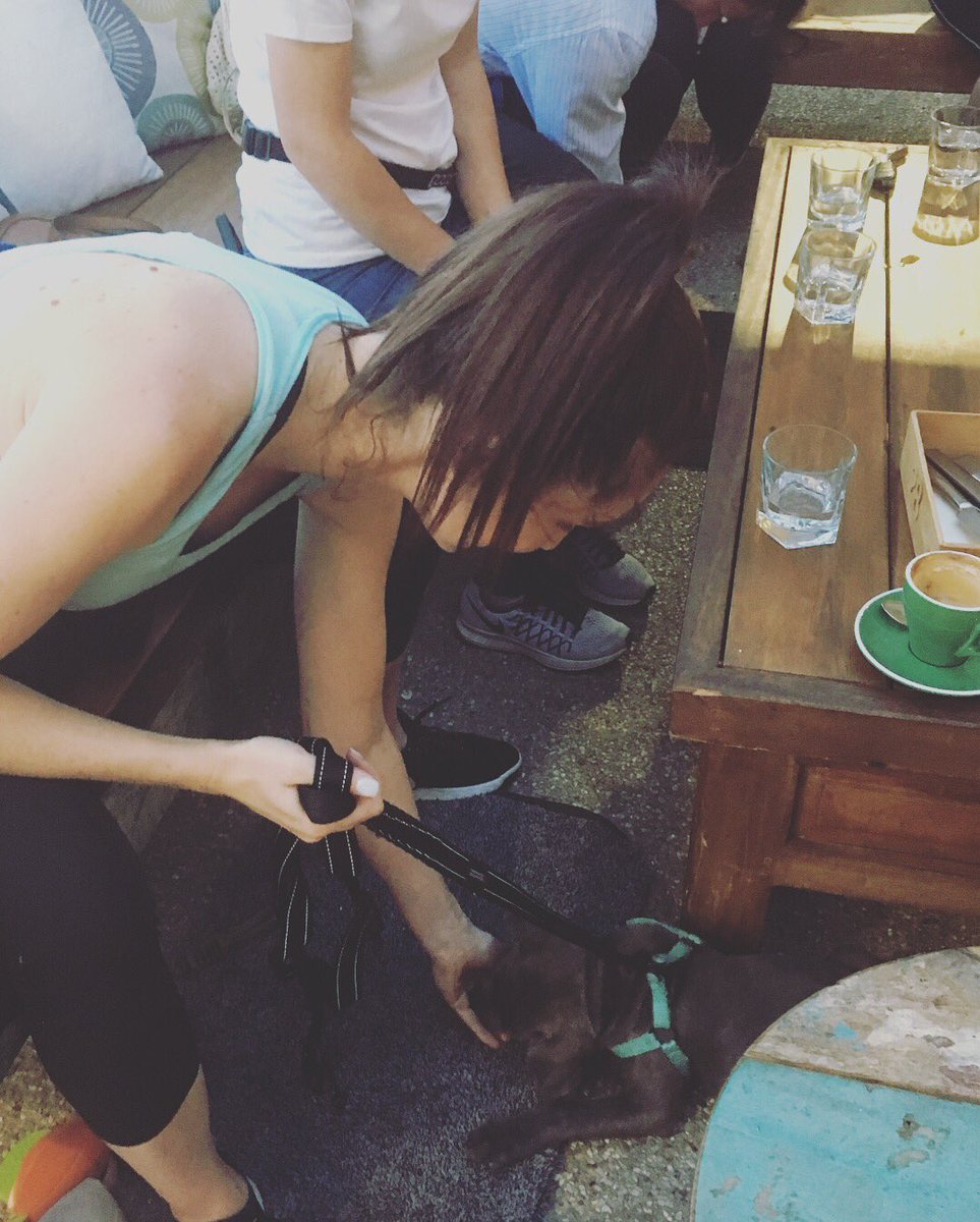 PatsPerth's tweet image. perthdogs #cutepuppies #picoftheday #dogsaroundperth #dogtrainer #puppyschool #puppytraining #perthdogs #perthdogtrainer #dogsofinstagram #doggos #perthdogsofinstagram