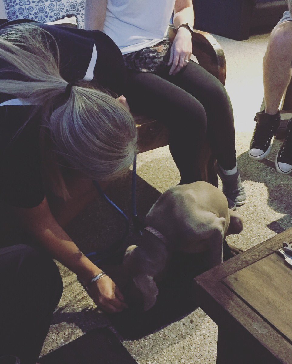 PatsPerth's tweet image. perthdogs #cutepuppies #picoftheday #dogsaroundperth #dogtrainer #puppyschool #puppytraining #perthdogs #perthdogtrainer #dogsofinstagram #doggos #perthdogsofinstagram