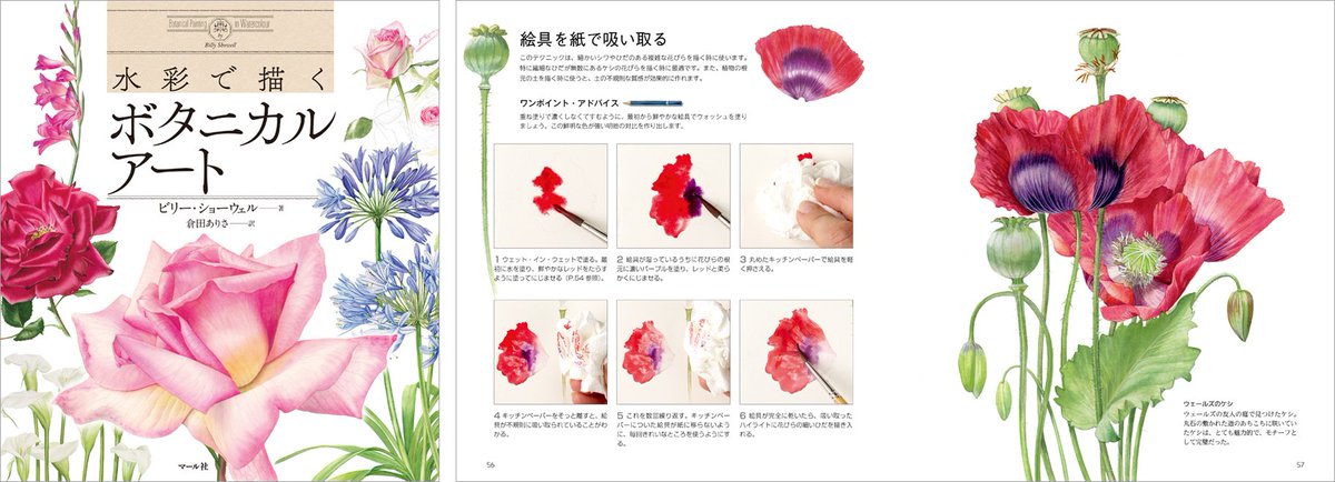 Mdn Design Interactive Books うぶ毛の質感まで再現する 精密な植物画の描き方 水彩 で描くボタニカルアート 発売 ただ塗り重ねるだけでなく 水やペーパーなどを効果的に使って 植物の葉脈やうぶ毛 質感 透け感までを精密に表現する技法を解説し