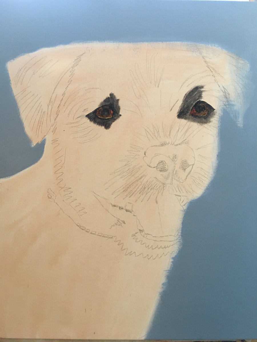 4pawsart's tweet image. ON THE EASEL - RIGBY STAGE ONE ...Starting with the eyes 
To commission your own pet portrait -  Contact Elaine 4PawsArt.com  @doggie_diner_BH @doggieplaces  @CHOICEnetworkin  @NEFollowers  @durhamhour  @sunderland_hour  @HSdirectSA  @EBorderterrier @Alfredkingston