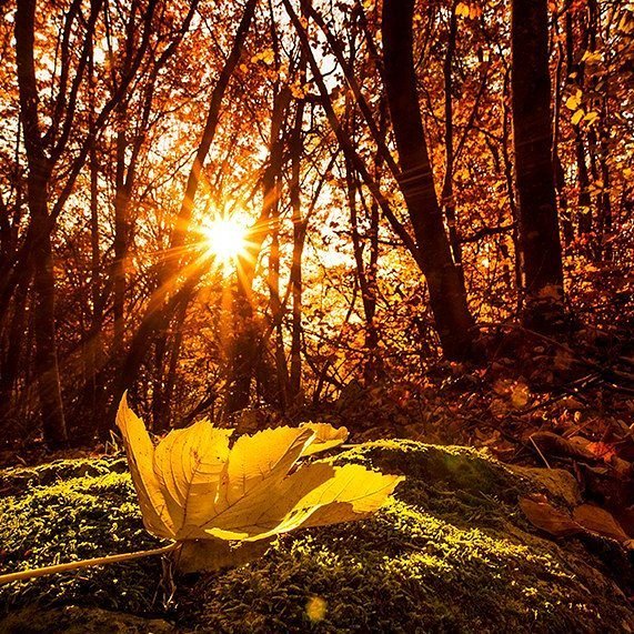 CdnPhotogGuy's tweet photo. Reposting @jcmodelsng:
Beauty of nature all around us. #morning #motivation #wakeup #photography #thanksgiving #praise #jcmodelsng https://t.co/FRlhmcrPsK