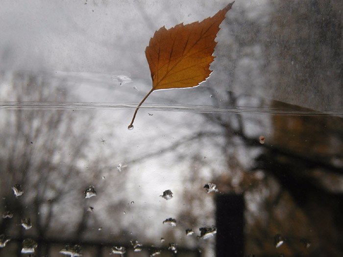 DOpUaSAWkAEluwB.jpg:large