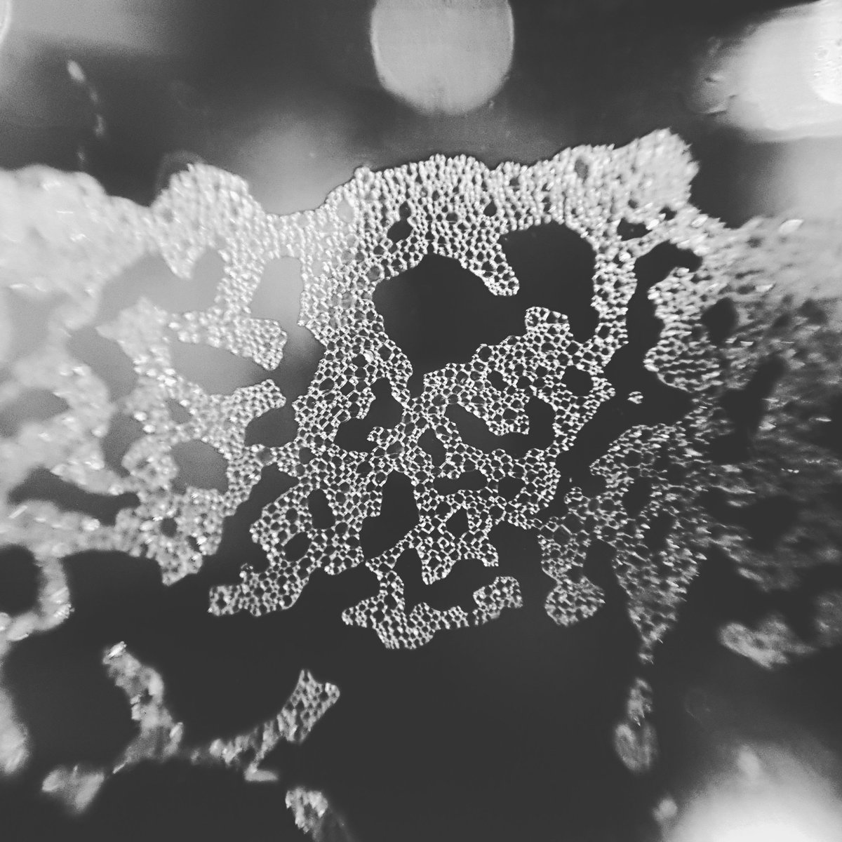 Day 2 of black and white photo series. Photos from my life without people or explanation. #day2 #photooftheday #blackandwhitephotography #BlackAndWhitePhotoChallenge