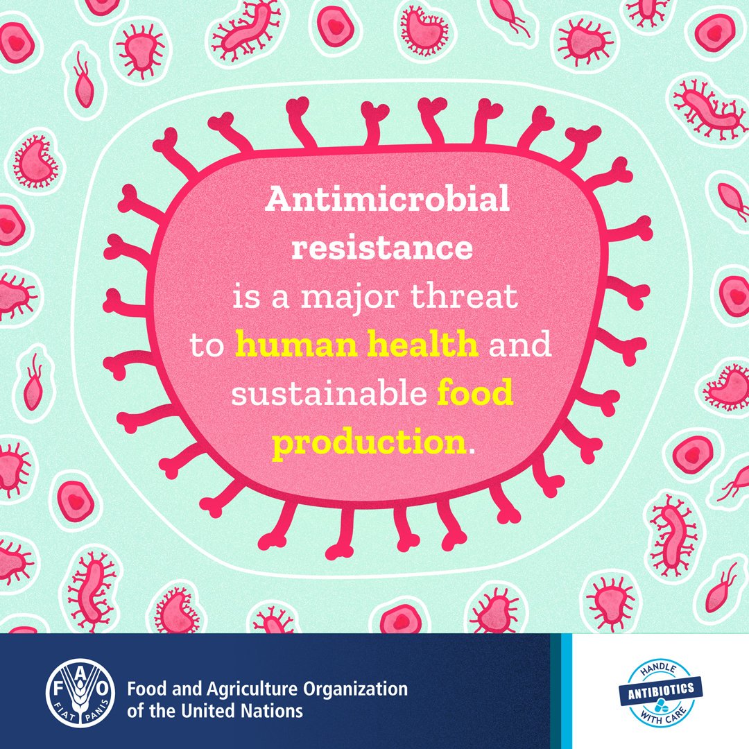 UN's tweet image. Antibiotic resistance is an increasingly serious threat to global health and human development.

During 🌍 Antibiotic Awareness Week, find out how YOU can help prevent #AntibioticResistance: fao.org/antimicrobial-…