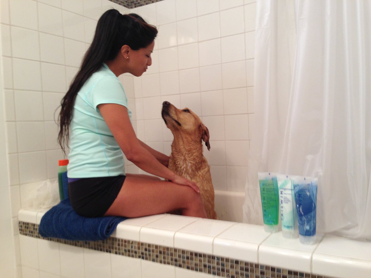 IrongirlNadia's tweet photo. When it's too chilly outside, he gets his pampered bath indoors. @sbrsports #sbrsports #triswim #trislide #trifamily https://t.co/X045dGlDg9