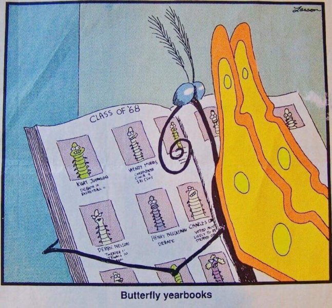 awaremagic's tweet photo. #Wednesday #humor
#AnthonyWareEntertainment https://t.co/aTVAdZspSS