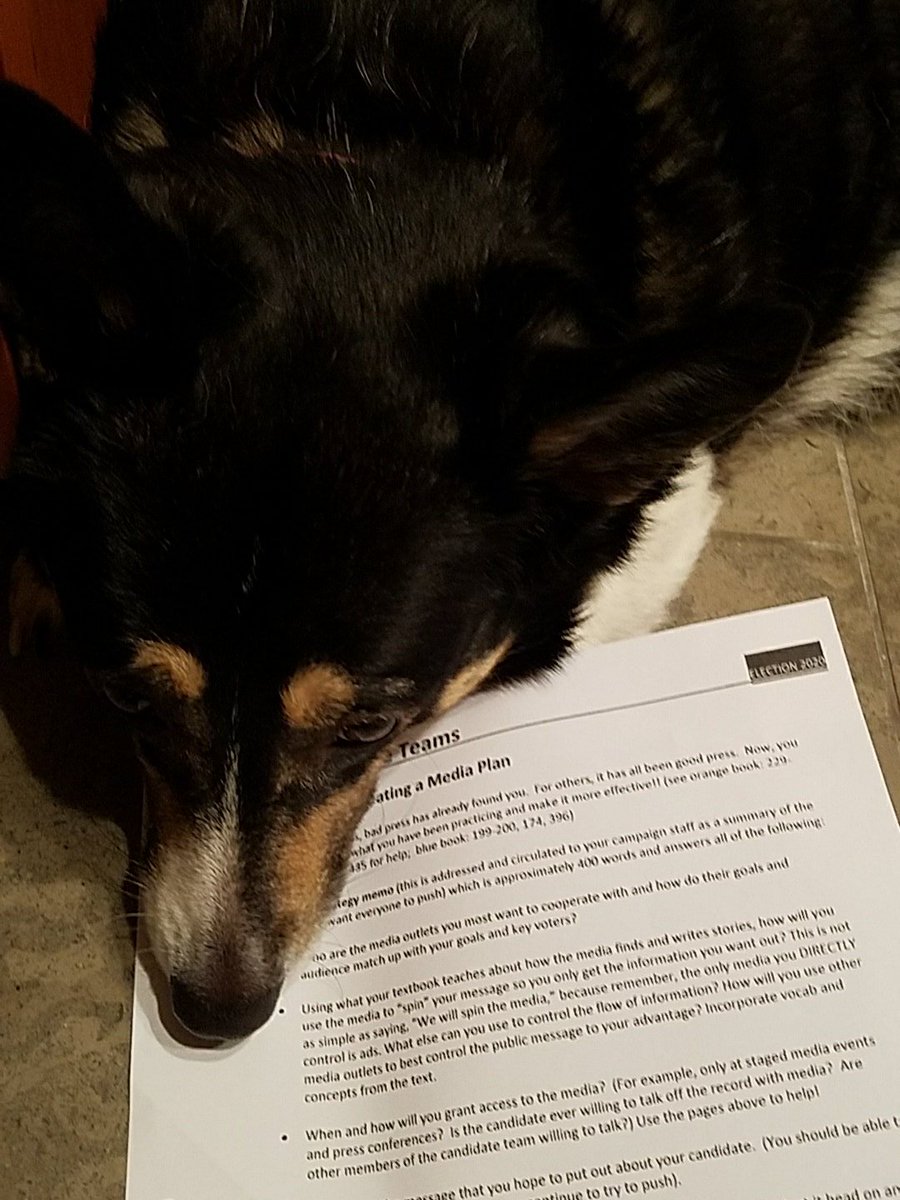 TeacherMarkChen's tweet photo. #lol dog ate my political work totally not gonna do my strategy memo #it #is #easy #being #Green  #MarkChenpresident2020 https://t.co/X4Pmfyh5vC