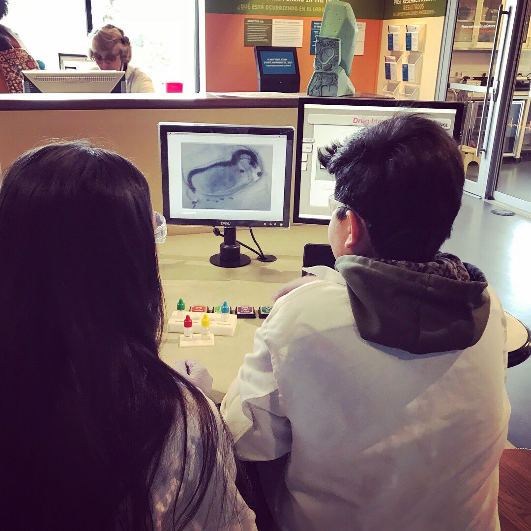 MsElrath's tweet photo. Awesome day for a science field trip to DMNS! #goodvibessms #mountainkidsinthebigcity #dinosaursarealwayscool https://t.co/qq6yauf0uy