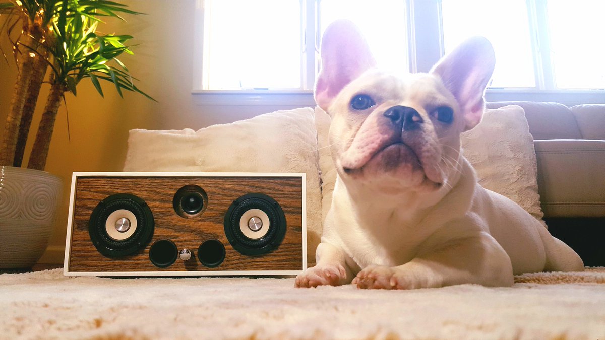 Our sound technician - Zeus the Frenchie is testing our ROA Marquee Kilo 1 speaker 🎶🎶🎶

#redoakaudioworks #sound #Audio #Audiophile #musictherapy #volume #crowdfunding #bluetoothspeaker #handmade #hifi #gadgets #stereo #subwoofer #iPhoneX #frenchbulldog #Frenchie #zeus