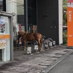 思わず二度見する光景!駐輪場に停められていたのは自転車じゃなく、馬!