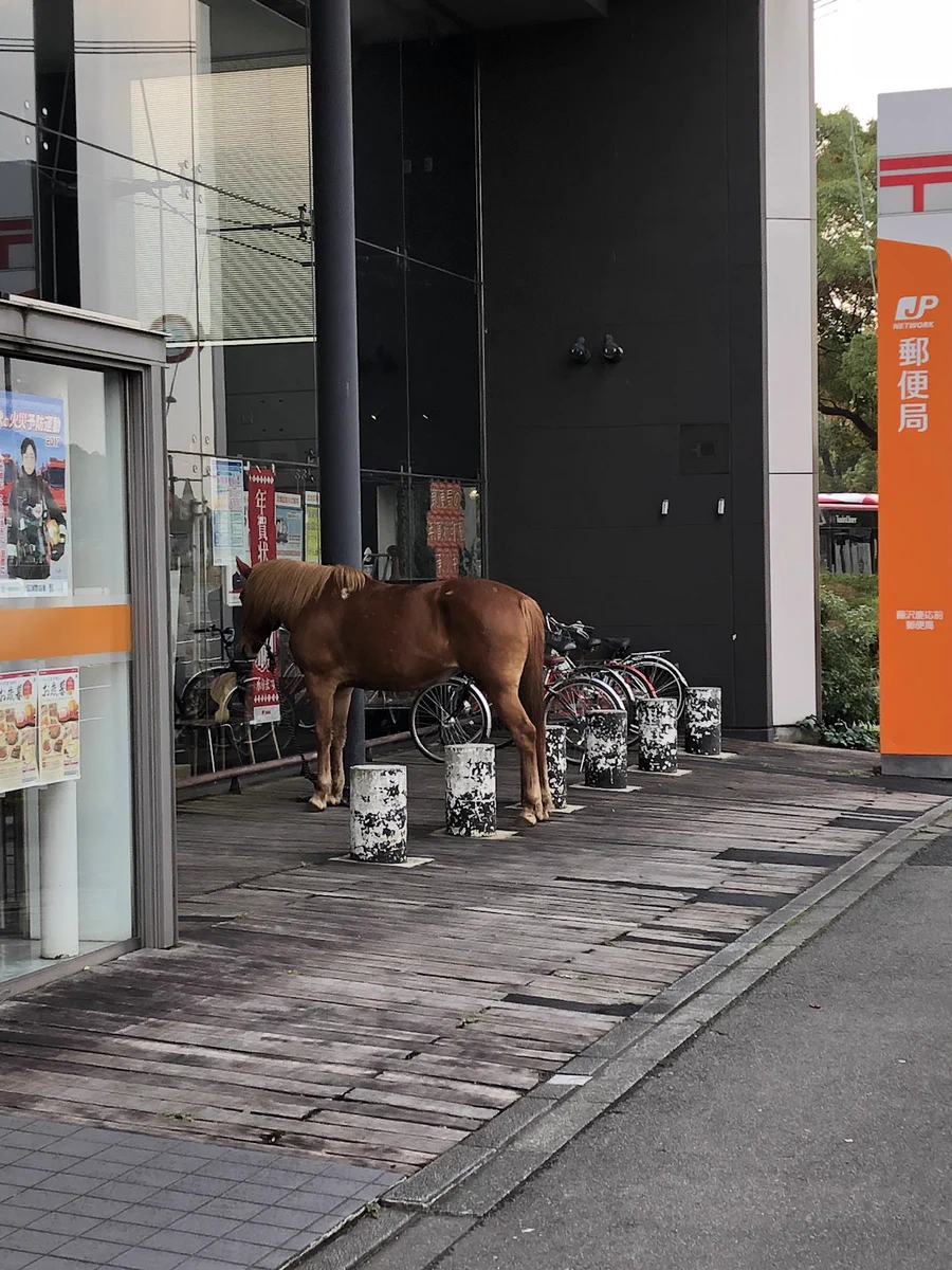 思わず二度見する光景ｗｗｗ駐輪場に停められていたのは自転車じゃなく、馬ｗｗｗｗ