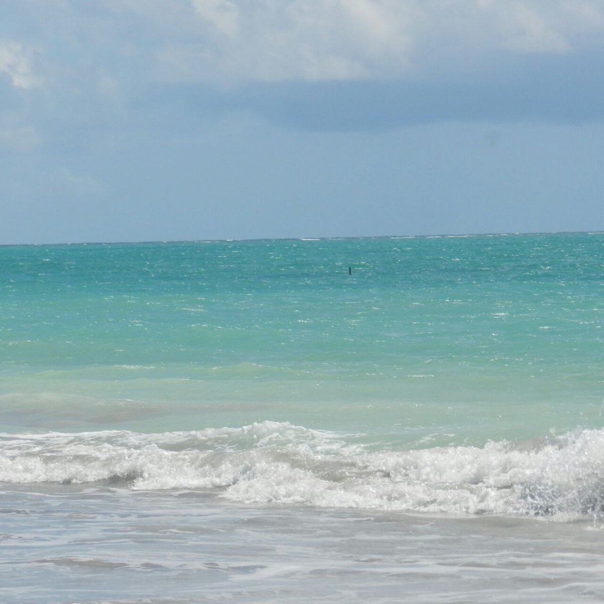 Leny Souza#TIMBETA (@lenysouza883) on Twitter photo 