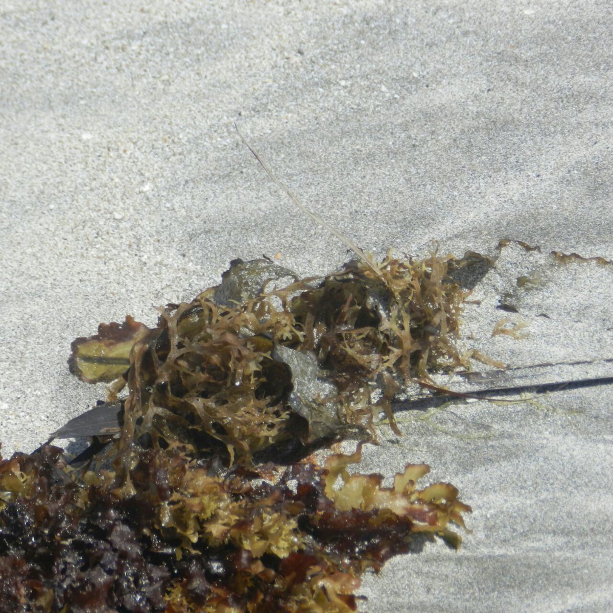 Leny Souza#TIMBETA (@lenysouza883) on Twitter photo 