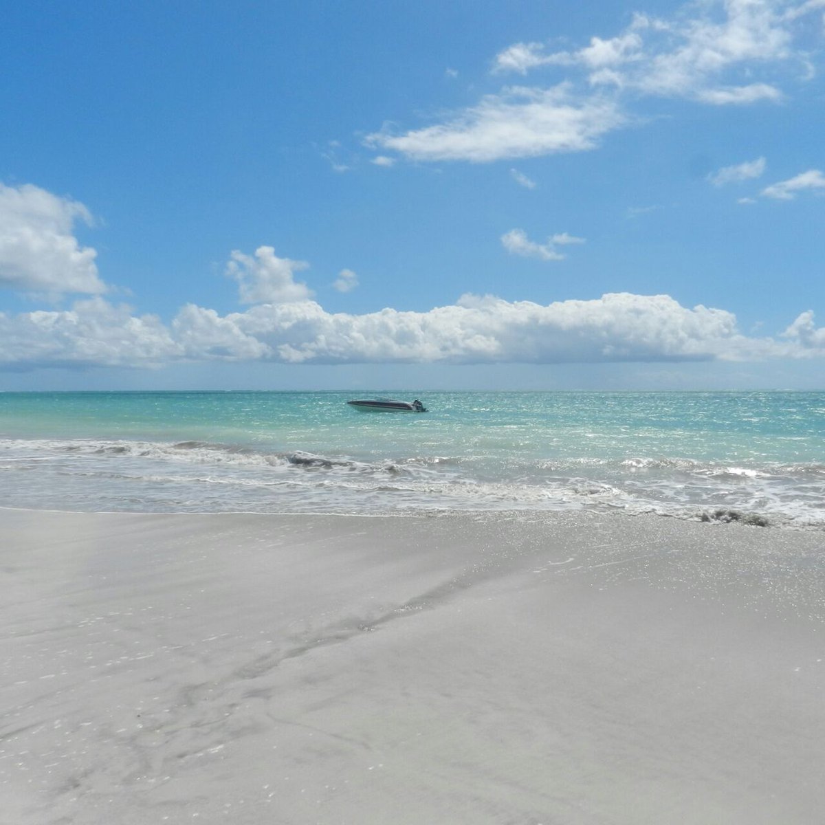 Leny Souza#TIMBETA (@lenysouza883) on Twitter photo 