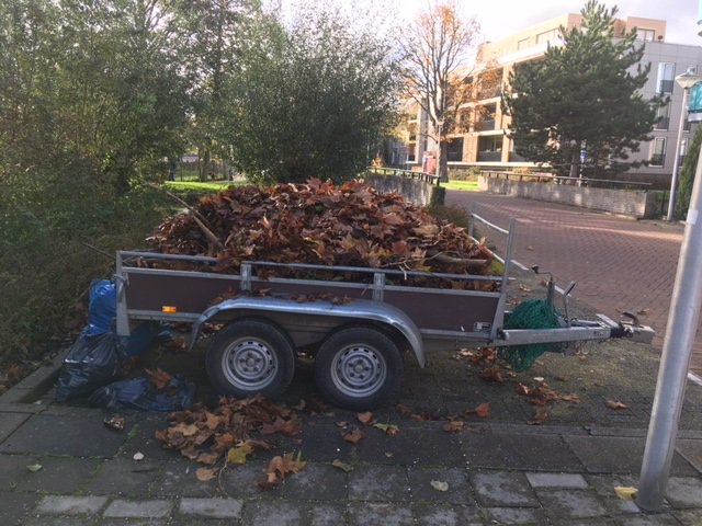 AccentVSO's tweet photo. Een foto zegt soms meer dan woorden. Er is weer hard gewerkt door onze leerlingen in het #groen https://t.co/w0lmvARPjl