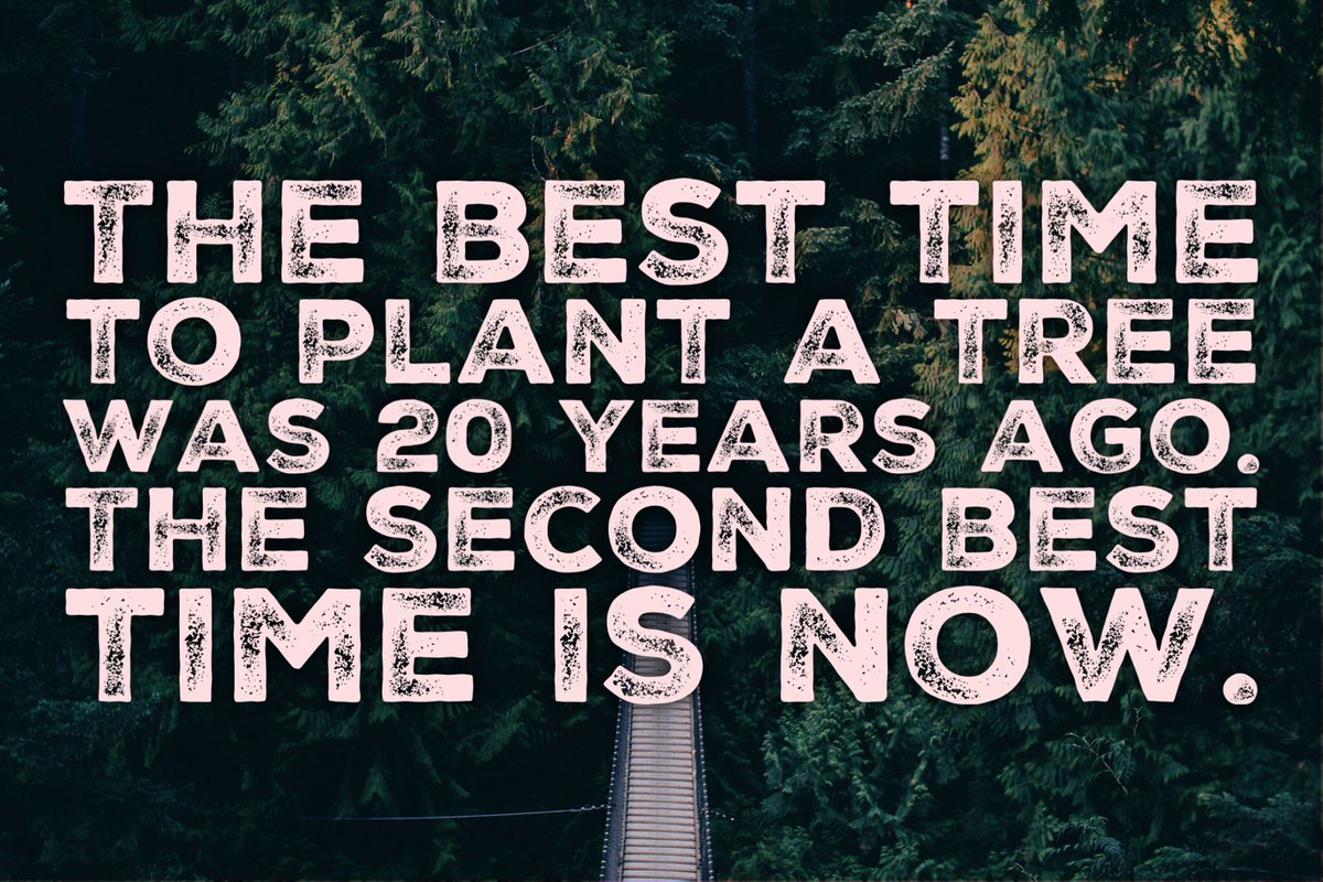 ScottKeyland's tweet image. 