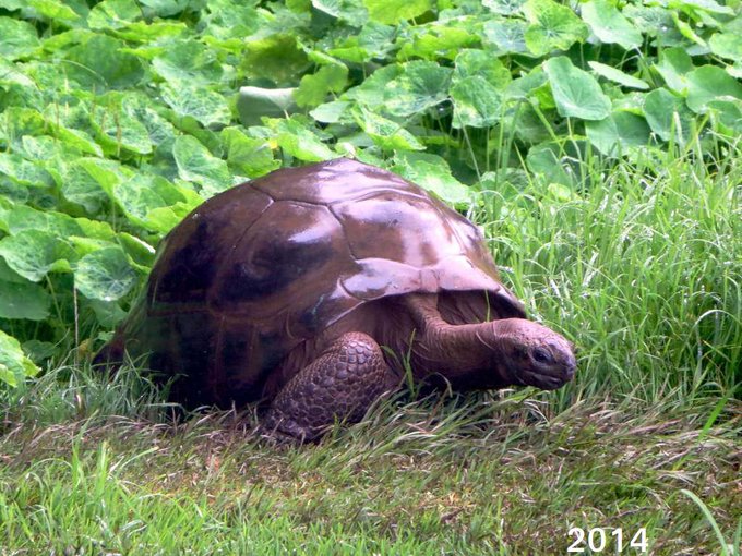 DOq5IWtW4AAL1-W.jpg:small