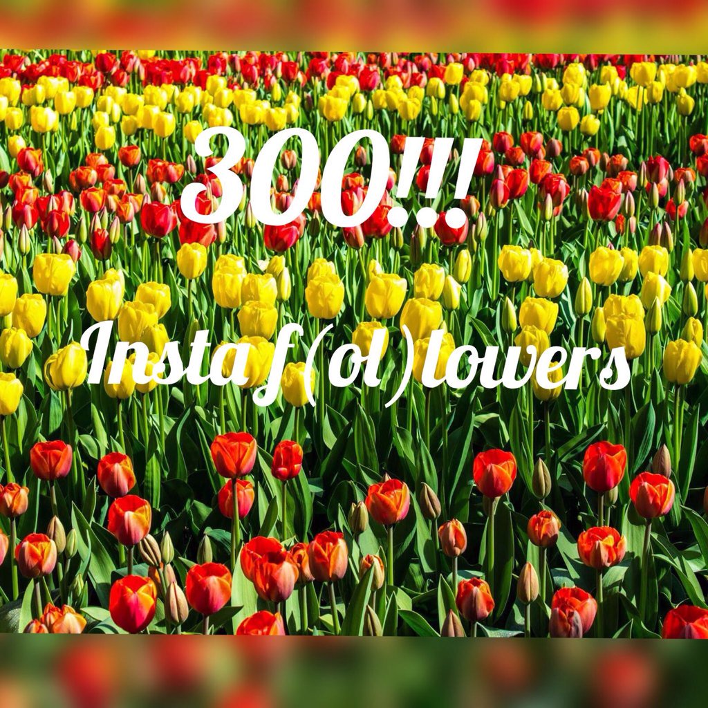 300 instagram volgers! Volg ons ook! sharon_infiniteprints