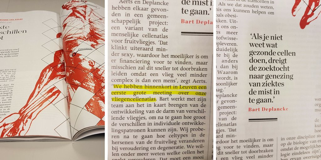 FlyCellAtlas's tweet photo. Start practicing your Dutch - Flanders knows #FlyCellAtlas is coming! Interview with 2 of the organizers in the Flemish magazine @Knack https://t.co/kXEphpllhS