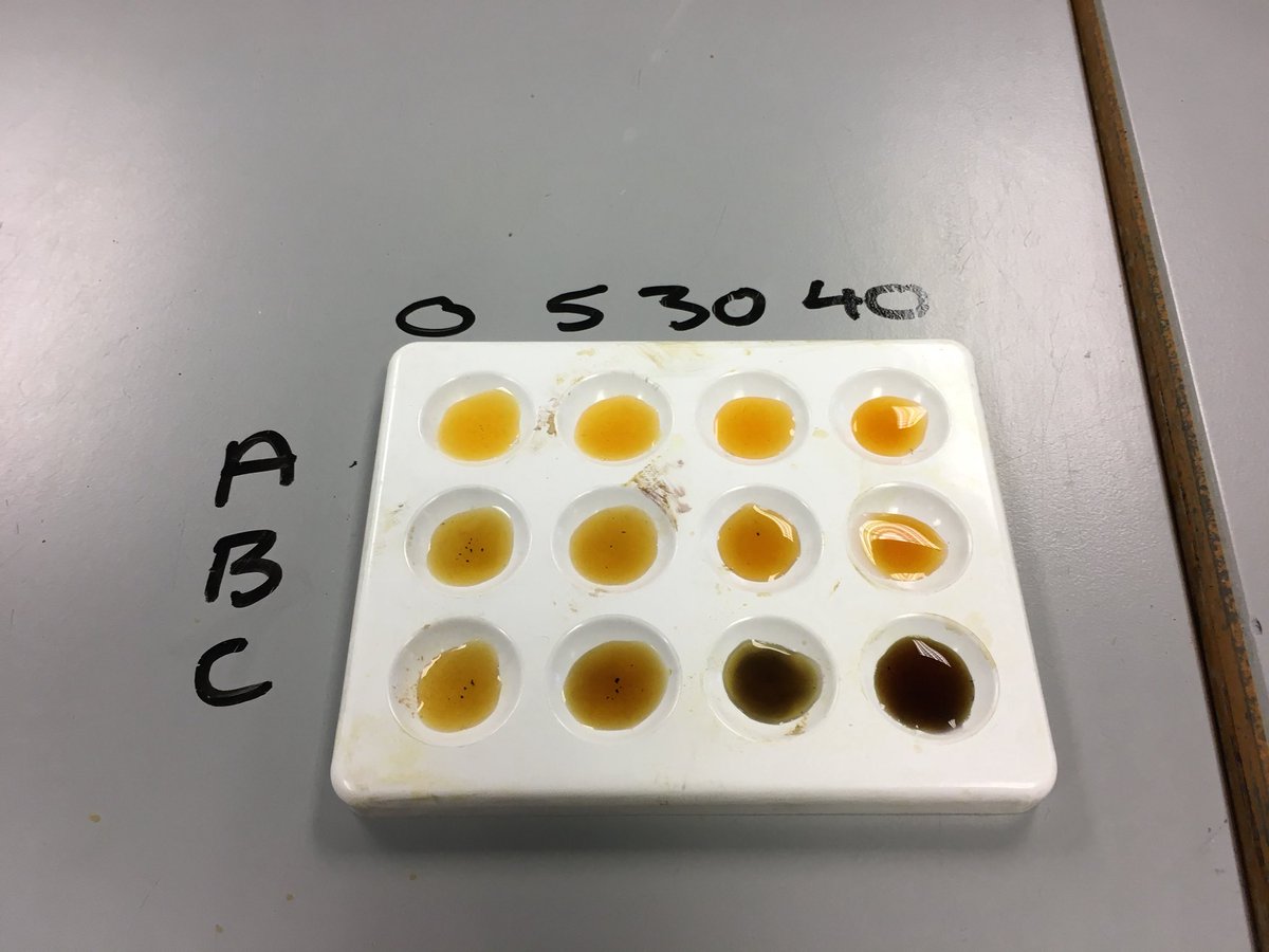 science_bbhs's tweet image. H Biologists investigating phosphorylation. Brilliant results! #negativecontrol