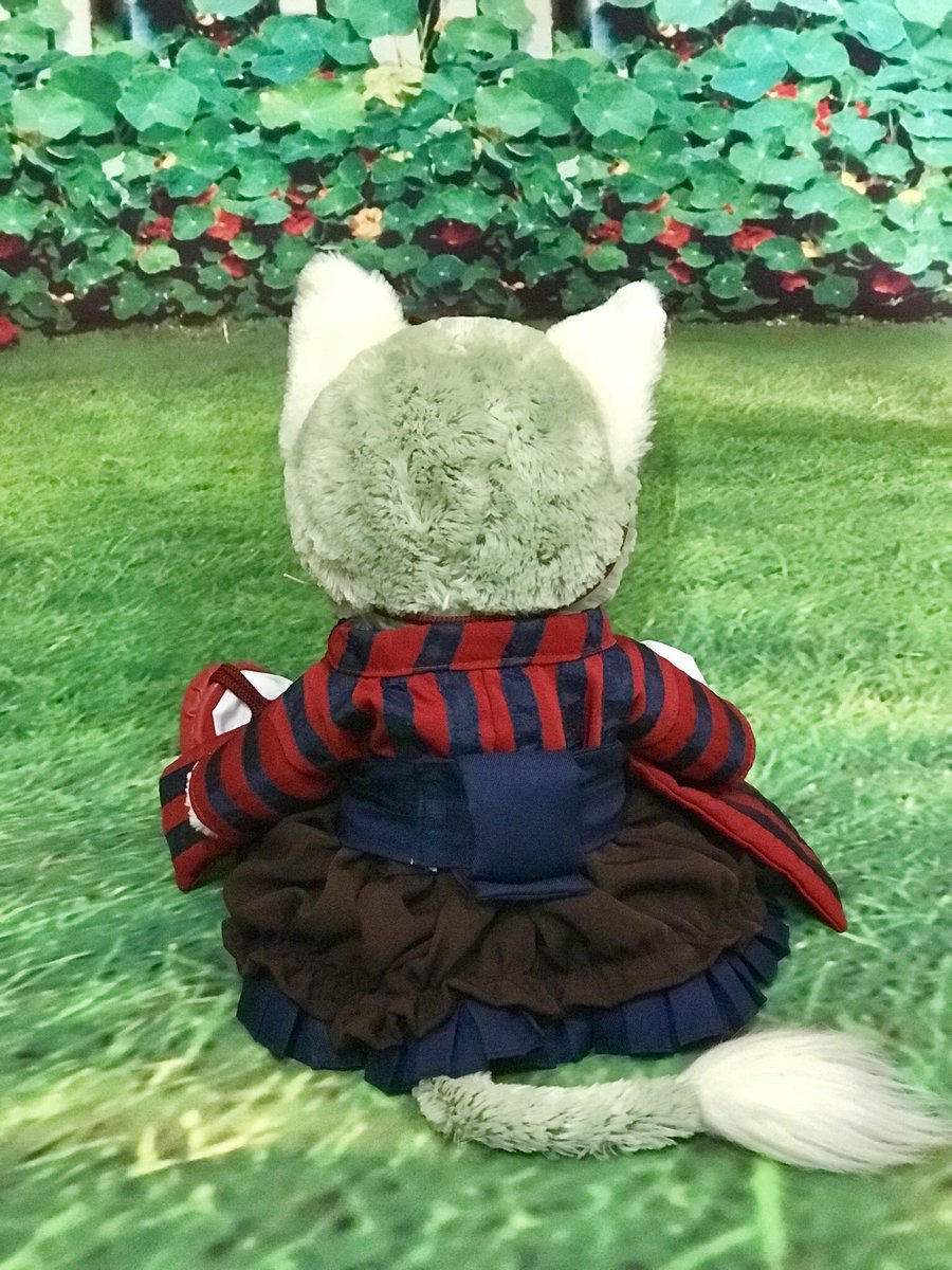 ট ইট র みんと みんとにゃんこのおうち ジェラトーニ用コスチューム 地獄型人間動物園 文明開化ガール Mintonyanko Mintokyara