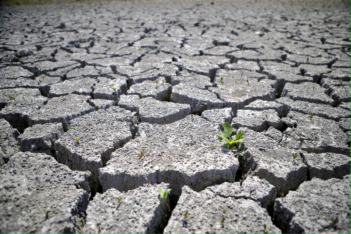 Sigue la brutal #sequía, no se adivinan lluvias, y seguimos sin verlo como una situación de emergencia 😳@SosSequia