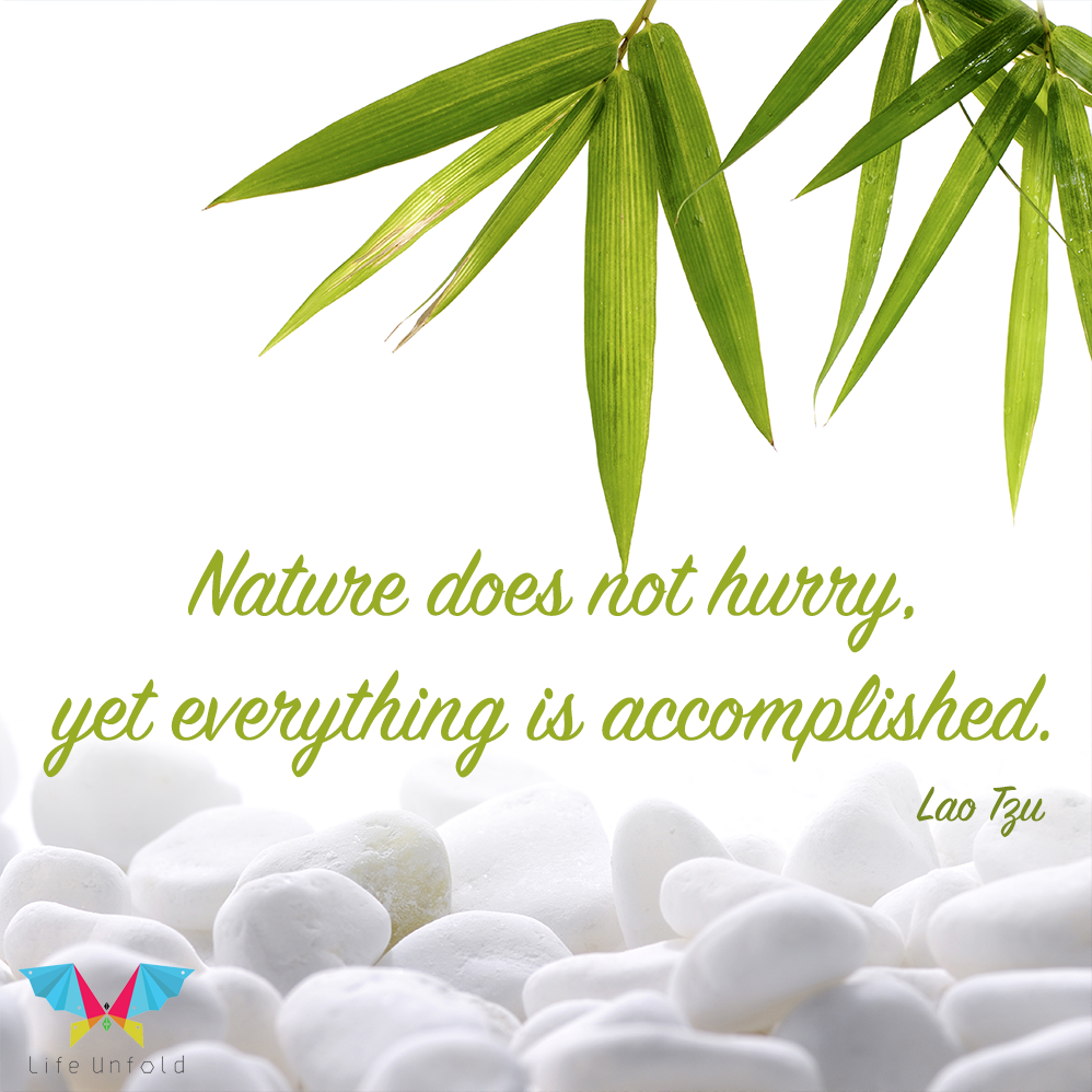 LifeUnfold's tweet photo. Nature does not hurry, yet everything is accomplished! - Lao Tzu
#lifeunfold #unfoldlife #life #self #laotzu #wisdomunfold #wisdom #spillingtheobvious https://t.co/TWJVPBSpZq