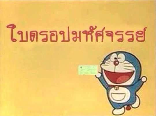 ผลการค้นหารูปภาพสำหรับ ใบดรอปมหัศจรรย์