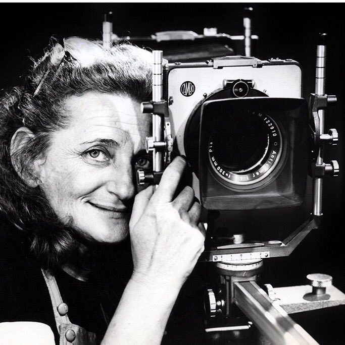 Visita guiada a la #Expo Thea Segall, HOY miércoles 15 Nov., a las 11 AM en la Sala TAC, del Trasnocho Cultural.