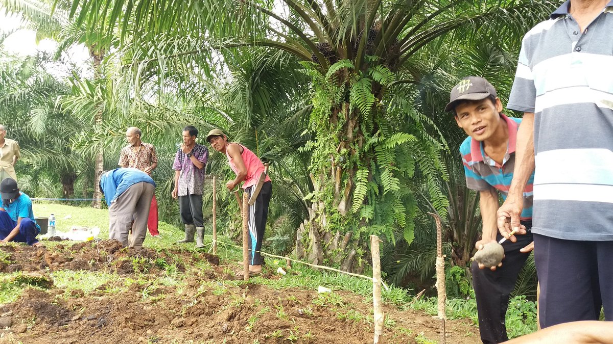 Efri1973's tweet photo. Mohon Uluran Tangannya sebab para menteri di Jakarta banyak yg Pelit begitu juga dg anggota DPR RI Tak ada yang mau membantu https://t.co/kF1p5FZGbw